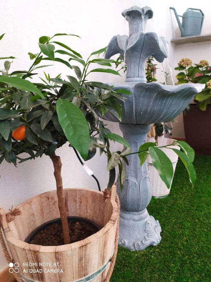 Casa Luce Gasthof *